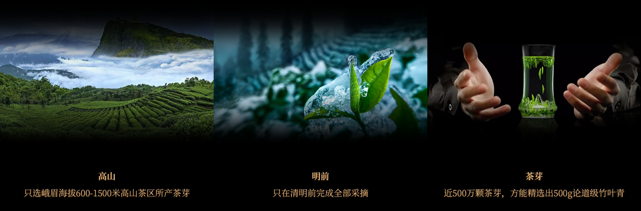 广告语升级