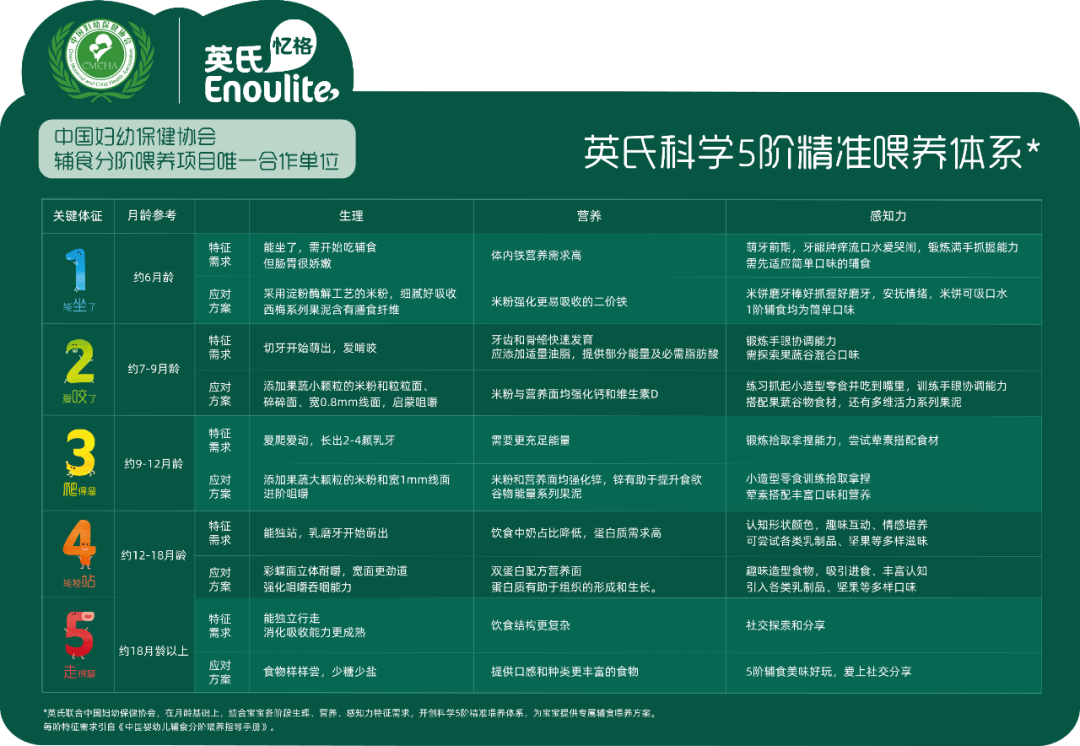 分阶辅食概念