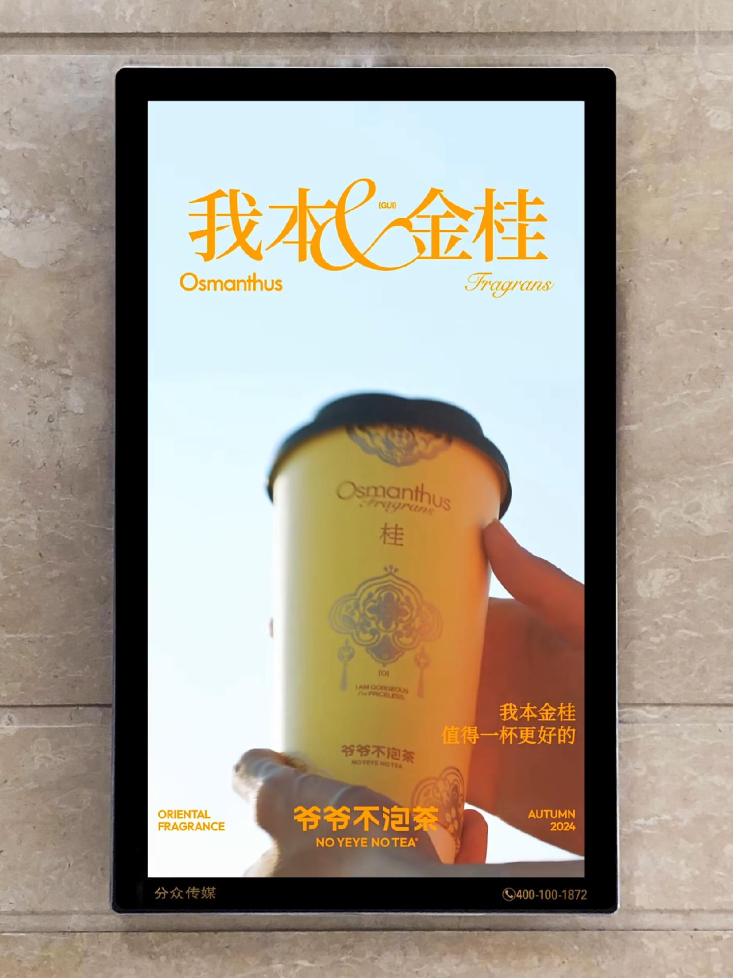 我本金桂上市