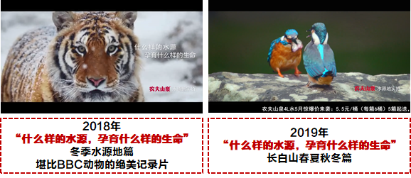 纪录片3